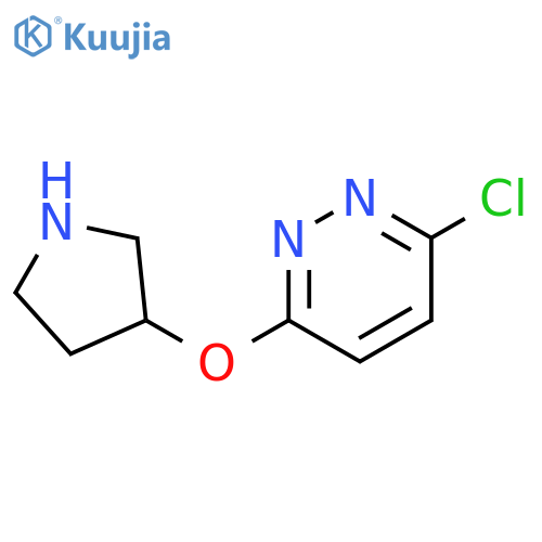 3-chloro-6-(pyrrolidin-3-yloxy)pyridazine structure