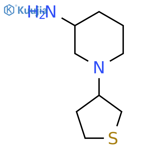 1-(Thiolan-3-yl)piperidin-3-amine structure