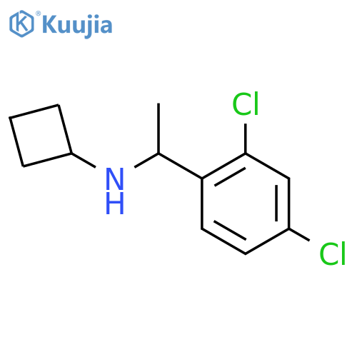 N-[1-(2,4-dichlorophenyl)ethyl]cyclobutanamine structure
