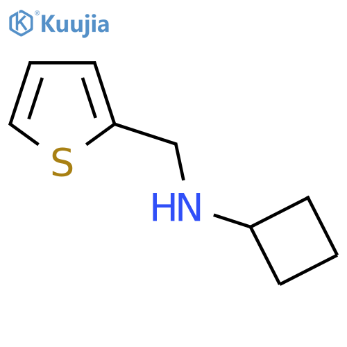 N-(Thiophen-2-ylmethyl)cyclobutanamine structure