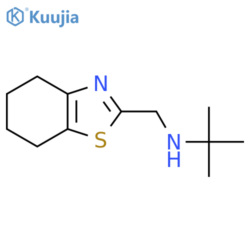 2-methyl-N-(4,5,6,7-tetrahydro-1,3-benzothiazol-2-ylmethyl)propan-2-amine structure