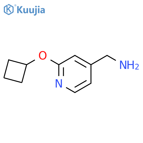 1-(2-cyclobutoxypyridin-4-yl)methanamine structure
