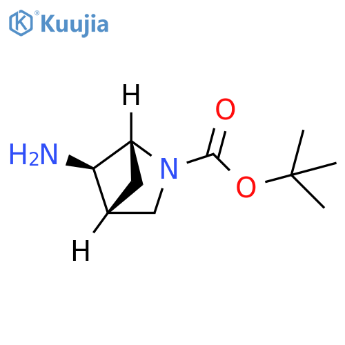 2-Azabicyclo[2.1.1]hexane-2-carboxylic acid, 5-amino-, 1,1-dimethylethyl ester, (1R,4R,5R)-rel- structure