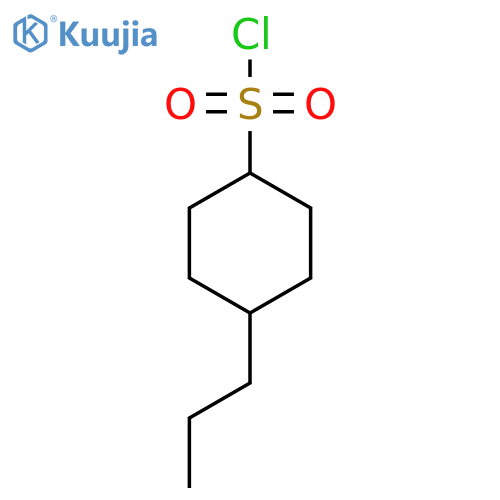 4-propylcyclohexane-1-sulfonyl chloride structure