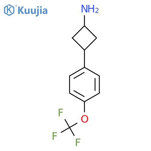 3-[4-(Trifluoromethoxy)phenyl]cyclobutan-1-amine structure