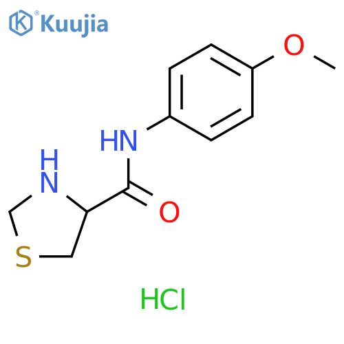 N-(4-methoxyphenyl)-1,3-thiazolidine-4-carboxamide hydrochloride structure