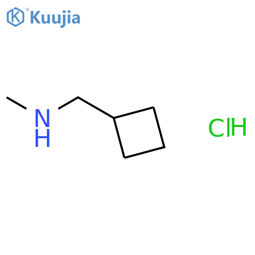 (cyclobutylmethyl)(methyl)amine hydrochloride structure