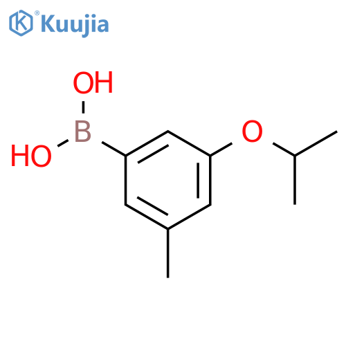 3-Isopropoxy-5-methylphenylboronic acid structure