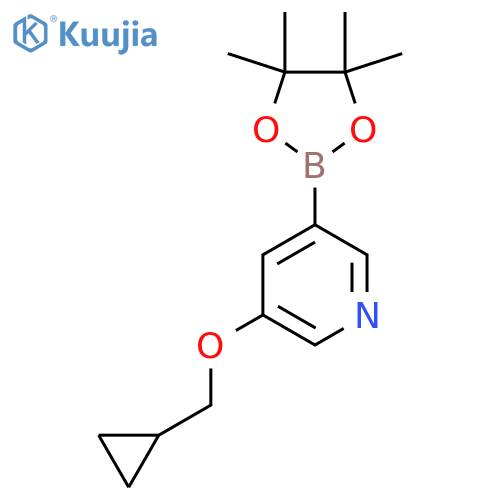 3-(Cyclopropylmethoxy)-5-(4,4,5,5-tetramethyl-1,3,2-dioxaborolan-2-yl)pyridine structure