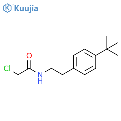 N-2-(4-tert-butylphenyl)ethyl-2-chloroacetamide structure