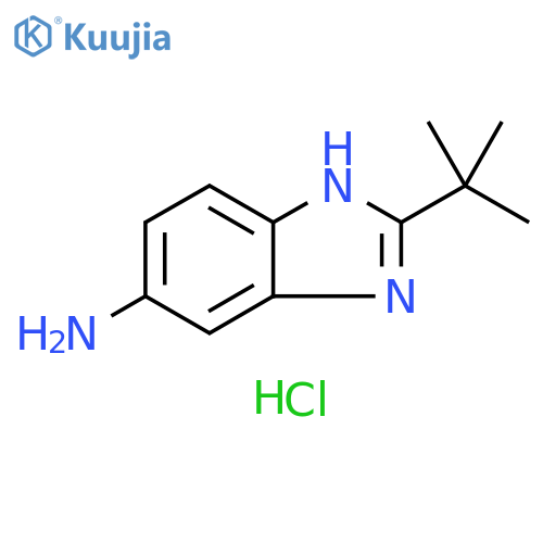 2-tert-butyl-1H-1,3-benzodiazol-5-amine dihydrochloride structure
