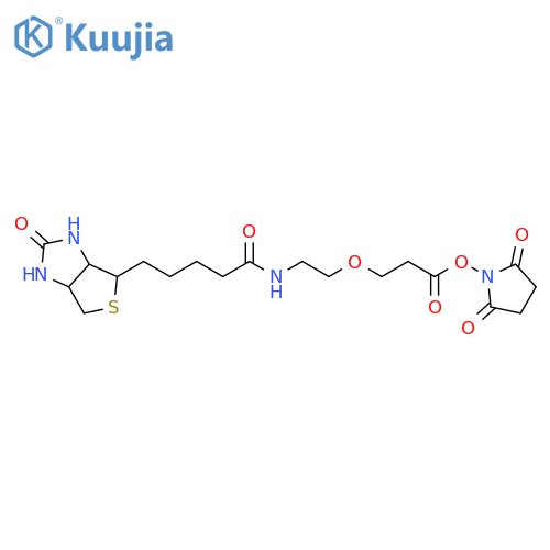 Biotin-PEG1-NHS ester structure