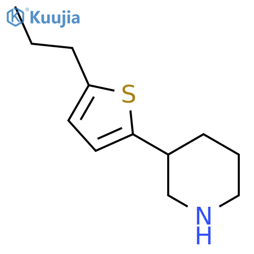 3-(5-propylthiophen-2-yl)piperidine structure
