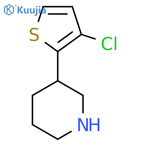 3-(3-chlorothiophen-2-yl)piperidine structure