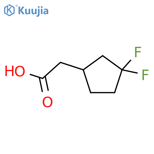 2-(3,3-difluorocyclopentyl)acetic acid structure