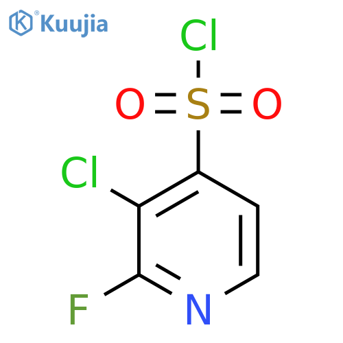 3-Chloro-2-fluoropyridine-4-sulfonyl chloride structure