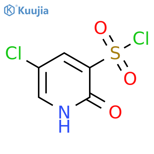 5-Chloro-2-hydroxypyridine-3-sulfonyl chloride structure