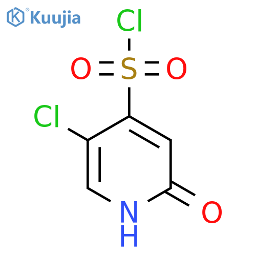 5-Chloro-2-hydroxypyridine-4-sulfonyl chloride structure