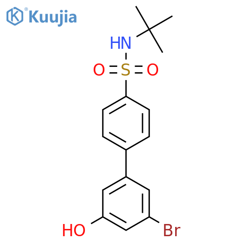4-(3-Bromo-5-hydroxyphenyl)-N-tert-butylbenzenesulfonamide structure