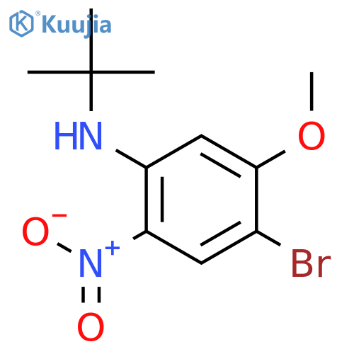 4-Bromo-N-(tert-butyl)-5-methoxy-2-nitroaniline structure