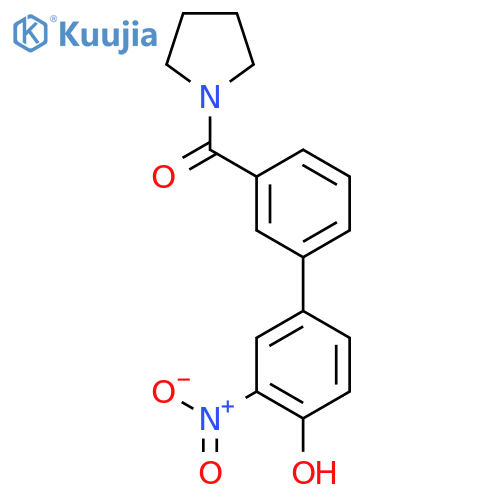 [3-(4-hydroxy-3-nitrophenyl)phenyl]-pyrrolidin-1-ylmethanone structure