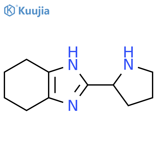 2-(pyrrolidin-2-yl)-4,5,6,7-tetrahydro-1H-1,3-benzodiazole structure