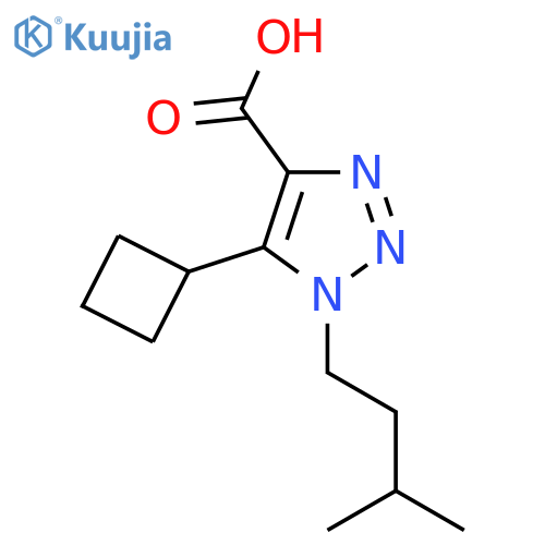 5-cyclobutyl-1-(3-methylbutyl)-1H-1,2,3-triazole-4-carboxylic acid structure