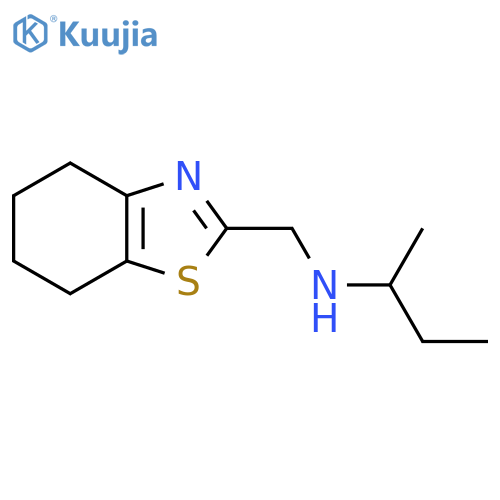 (Butan-2-yl)[(4,5,6,7-tetrahydro-1,3-benzothiazol-2-yl)methyl]amine structure