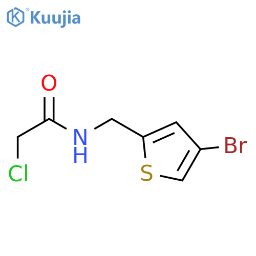 N-(4-bromothiophen-2-yl)methyl-2-chloroacetamide structure
