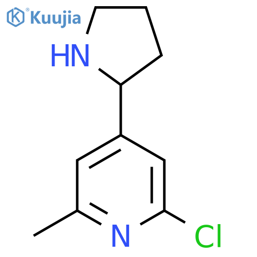 2-chloro-6-methyl-4-(pyrrolidin-2-yl)pyridine structure