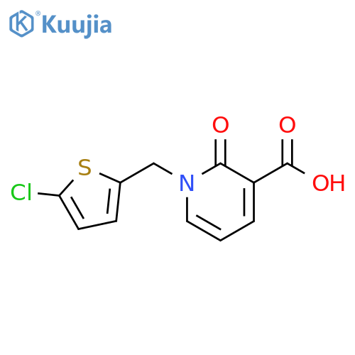 1-[(5-Chlorothiophen-2-yl)methyl]-2-oxo-1,2-dihydropyridine-3-carboxylic Acid structure