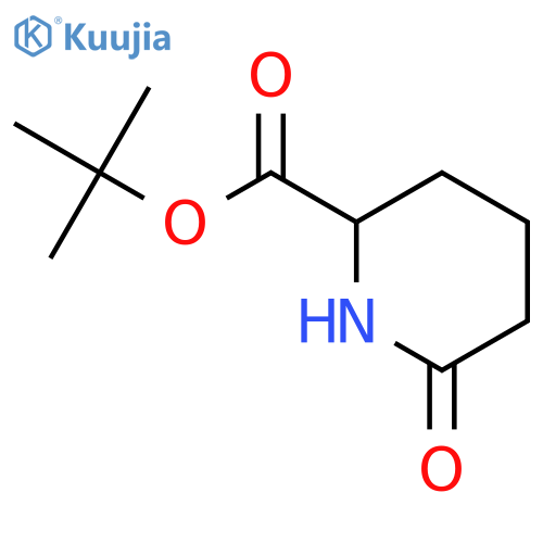 (2S)-6-Oxo-2-piperidinecarboxylic Acid 1,1-Dimethylethyl Ester structure