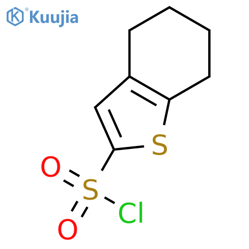 4,5,6,7-TetrahydrobenzoBThiophene-2-Sulfonyl Chloride structure