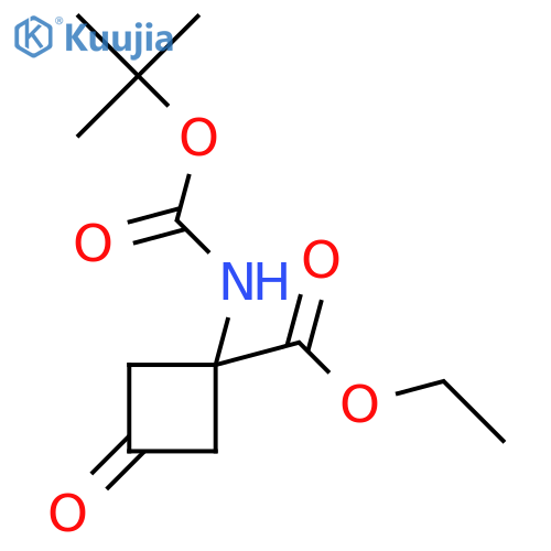 ethyl 1-(tert-butoxycarbonylamino)-3-oxo-cyclobutanecarboxylate structure