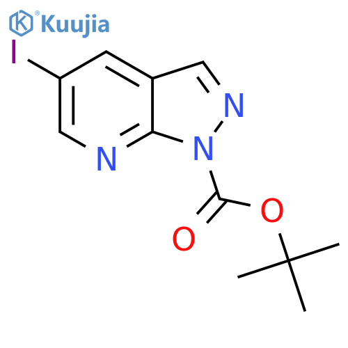 tert-Butyl 5-iodo-1H-pyrazolo3,4-bpyridine-1-carboxylate structure