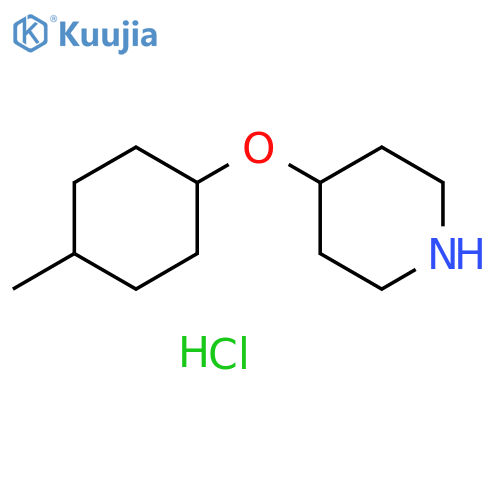 4-[(4-methylcyclohexyl)oxy]piperidine hydrochloride structure