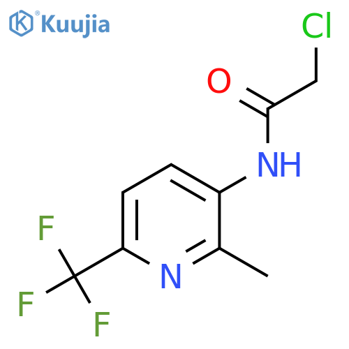 2-Chloro-N-[2-methyl-6-(trifluoromethyl)pyridin-3-yl]acetamide structure