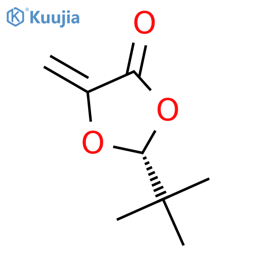 2-tert-Butyl-5-methylene-1,3-dioxolane-4-one structure