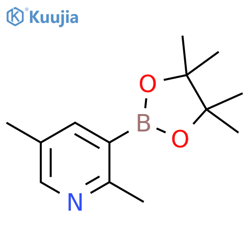 2,5-dimethyl-3-(tetramethyl-1,3,2-dioxaborolan-2-yl)pyridine structure