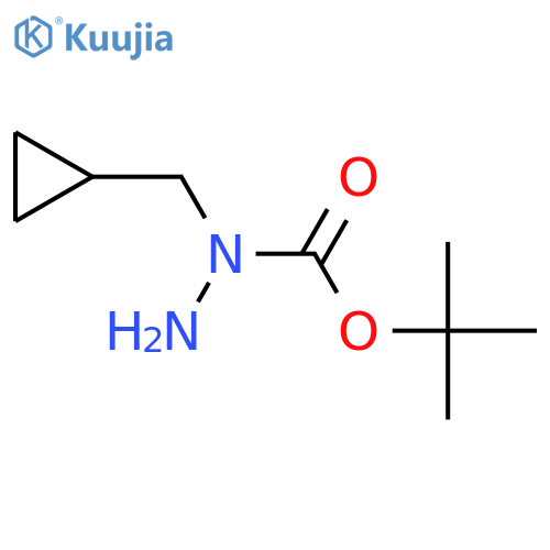 N-(cyclopropylmethyl)(tert-butoxy)carbohydrazide structure