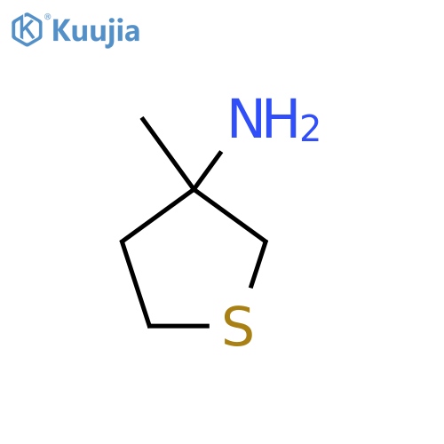 3-Methylthiolan-3-amine structure