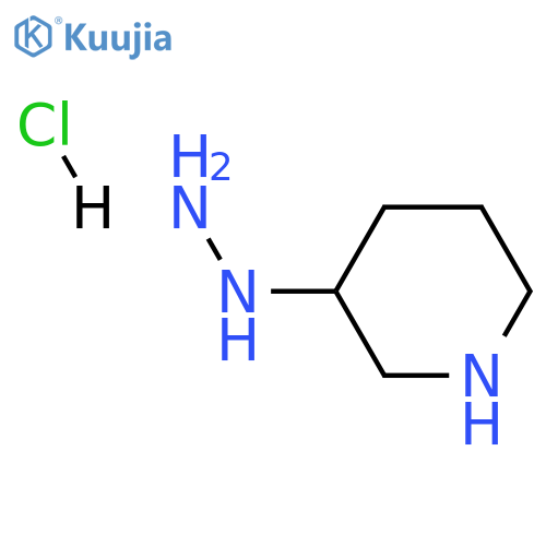 3-piperidylhydrazine;hydrochloride structure