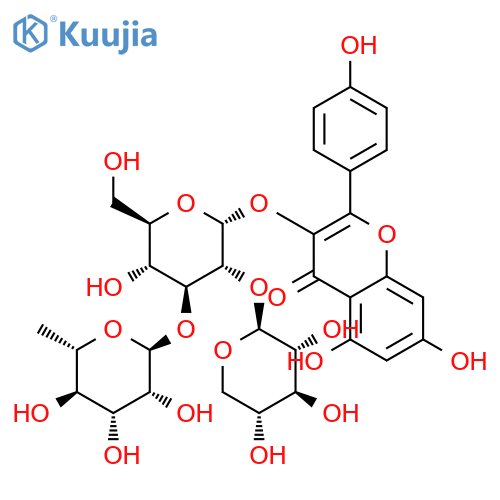 Camelliaside B structure