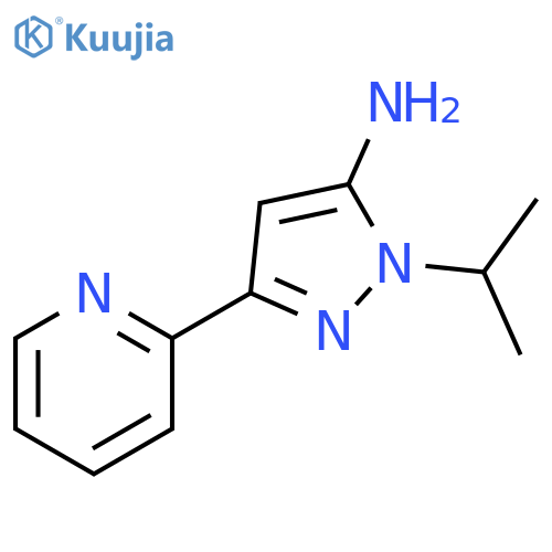 1-isopropyl-3-(pyridin-2-yl)-1H-pyrazol-5-amine structure