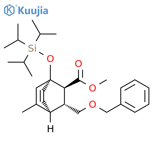 Bicyclo[2.2.2]oct-5-ene-2-carboxylic acid, 5-methyl-3-[(phenylmethoxy)methyl]-1-[[tris(1-methylethyl)silyl]oxy]-, methyl ester, (1R,2S,3R,4S)-rel- structure