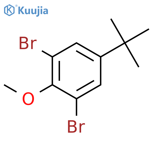 Benzene, 1,3-dibromo-5-(1,1-dimethylethyl)-2-methoxy- structure