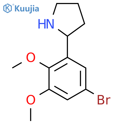 2-(5-bromo-2,3-dimethoxyphenyl)pyrrolidine structure