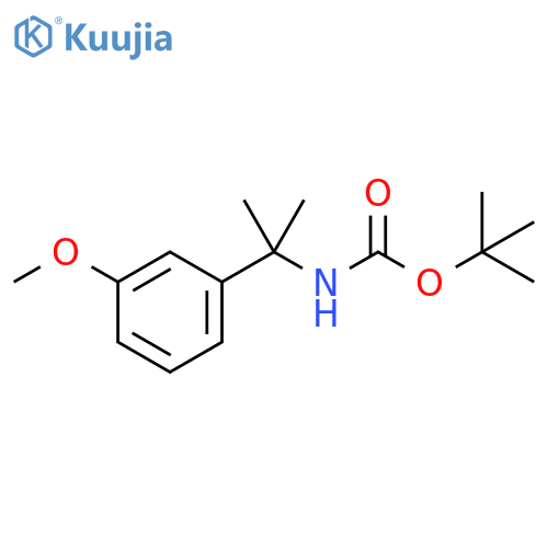 tert-Butyl N-[2-(3-methoxyphenyl)propan-2-yl]carbamate structure