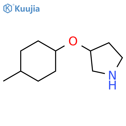 3-(4-methylcyclohexyl)oxypyrrolidine structure