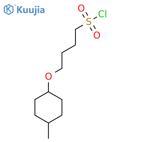 4-(4-methylcyclohexyl)oxybutane-1-sulfonyl chloride structure